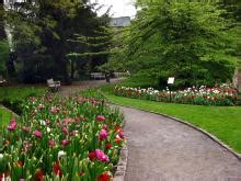 plantentuin den botaniek|Botanical Garden